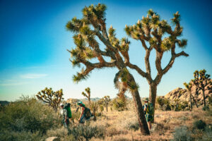 Climbing Photography